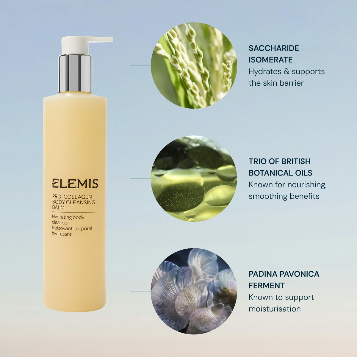Lathering on damp skin to rinse away cleanly, leaving nourished skin