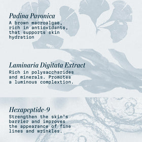 ELEMIS Pro-Collagen Night Cream showing sesame and avocado oils nourish.