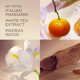 Elizabeth Arden White Tea heart of White Tea Extract evokes graceful femininity