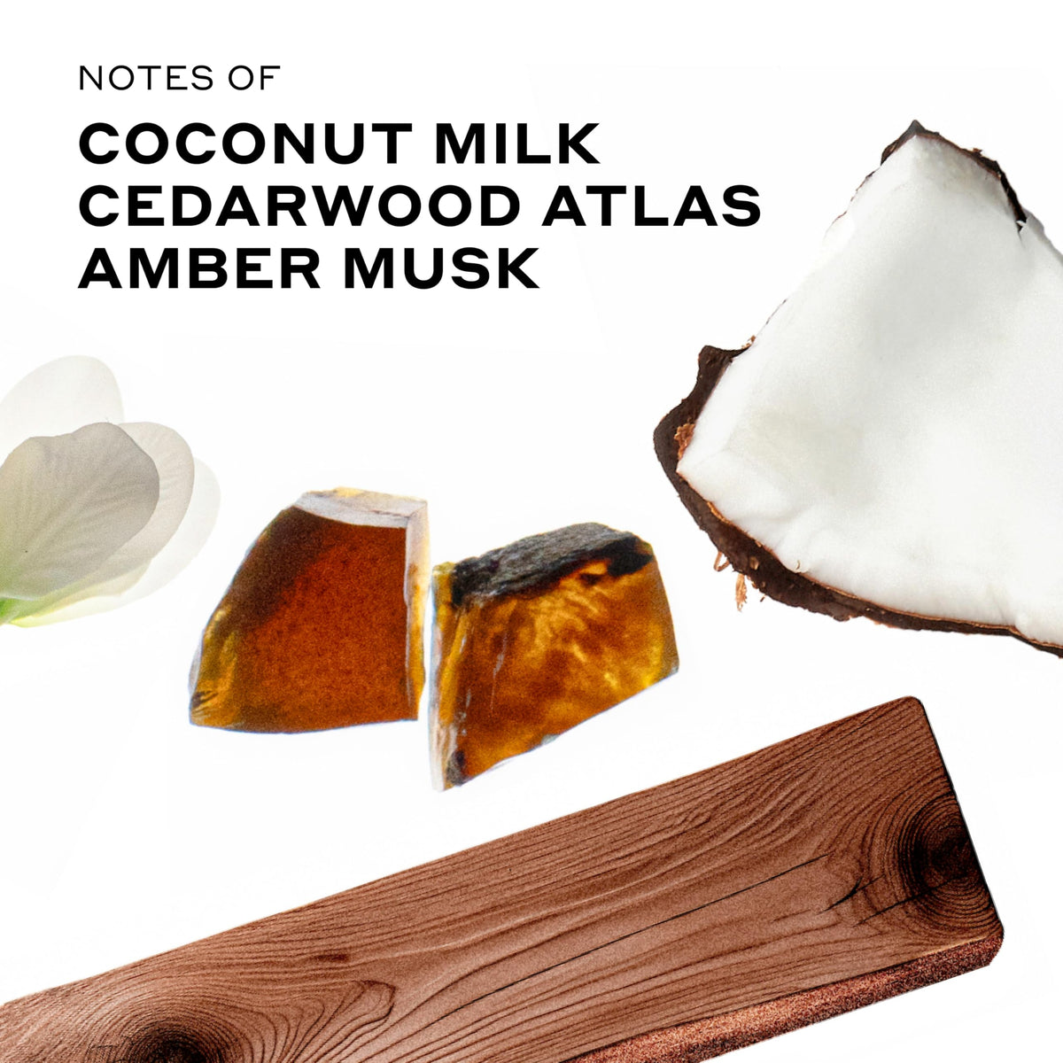Ellis Brooklyn Milk Wood fragrance notes sandalwood and amber musk for warm evenings.