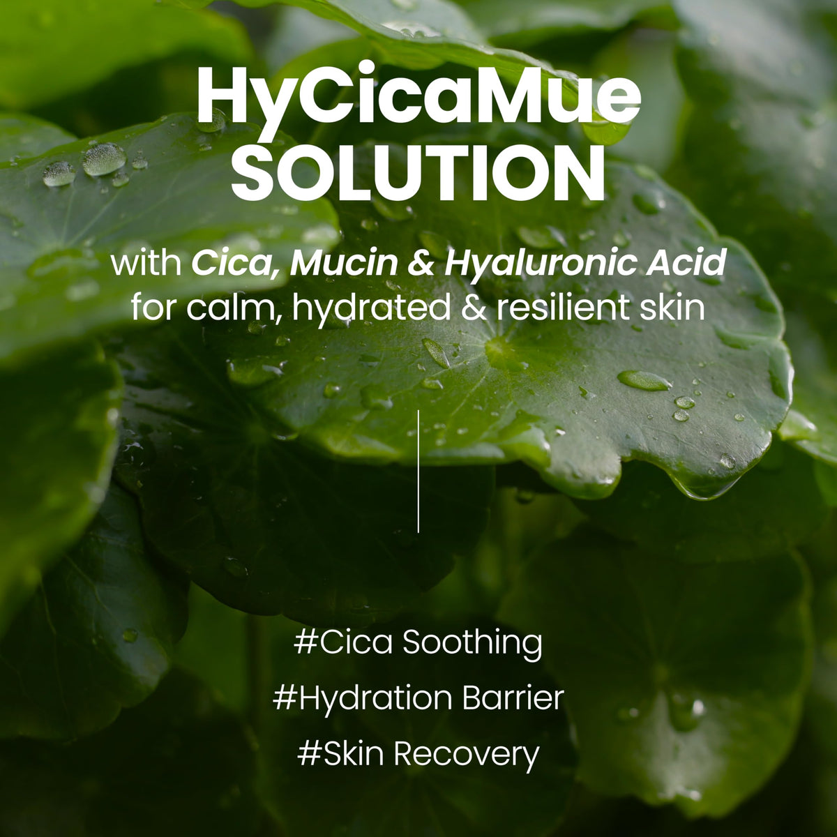 Elravie HyCicaMue Defence Cream texture during application delivering lightweight hydration