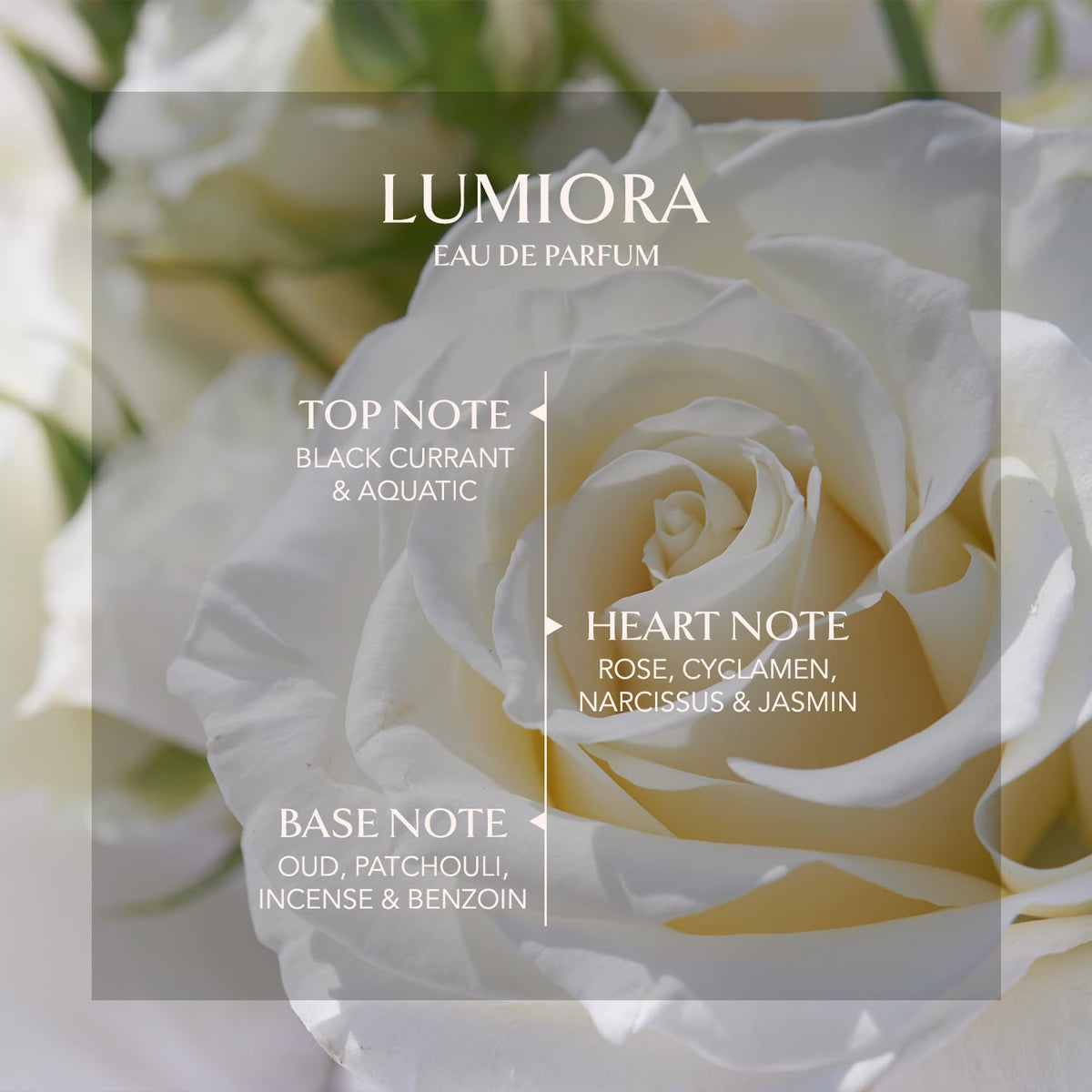 Embarouge Lumiora spray action shows easy application
