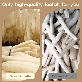 EMCHEIKE travel loofah with adhesive hook for easy drying and storage.