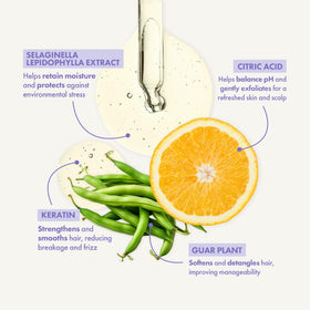 Enjoy Balance Shampoo applied to scalp demonstrates targeted cleansing and scalp nourishment.