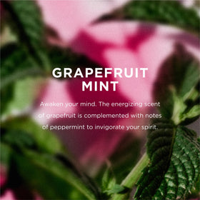 EO Grapefruit Mint Body Oil massage-ready for soft skin.