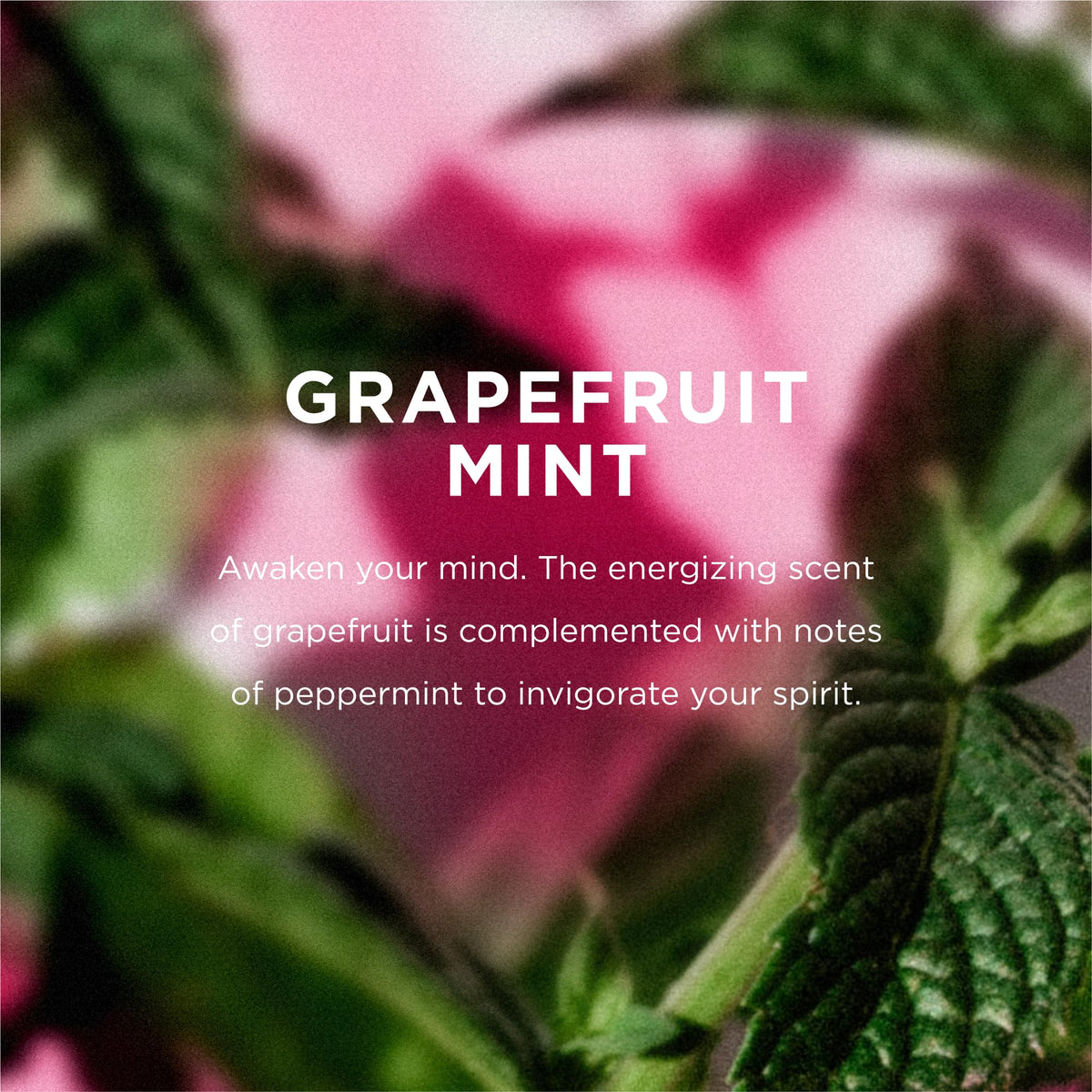 EO Grapefruit Mint Shampoo label close-up highlighting plant-based cleansers
