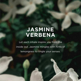 EO Hand Cream Jasmine Verbena scent blend emphasizing jasmine ylang-ylang lemongrass