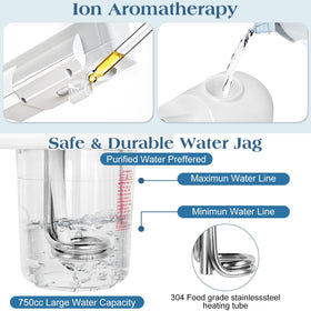 Eprince 750cc water tank enables longer steam sessions between refills