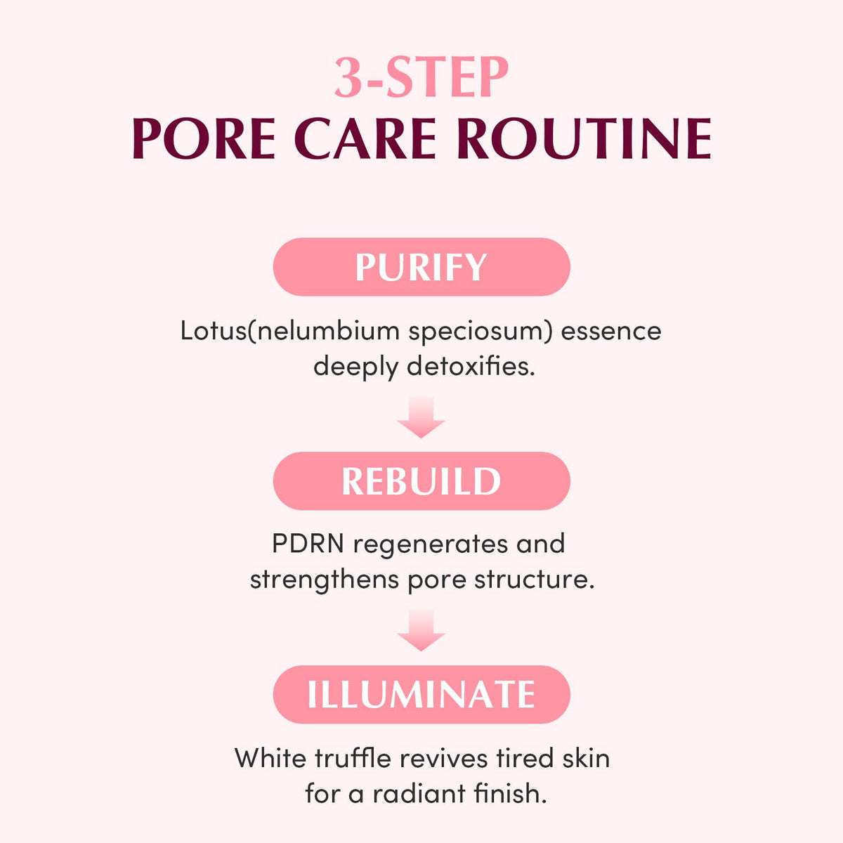 EQQUALBERRY Firming Elasticity visual suggesting smoother, tighter-looking skin