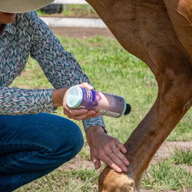EQUIDERMA cannon bone scurf care targets affected areas for clean-looking skin.