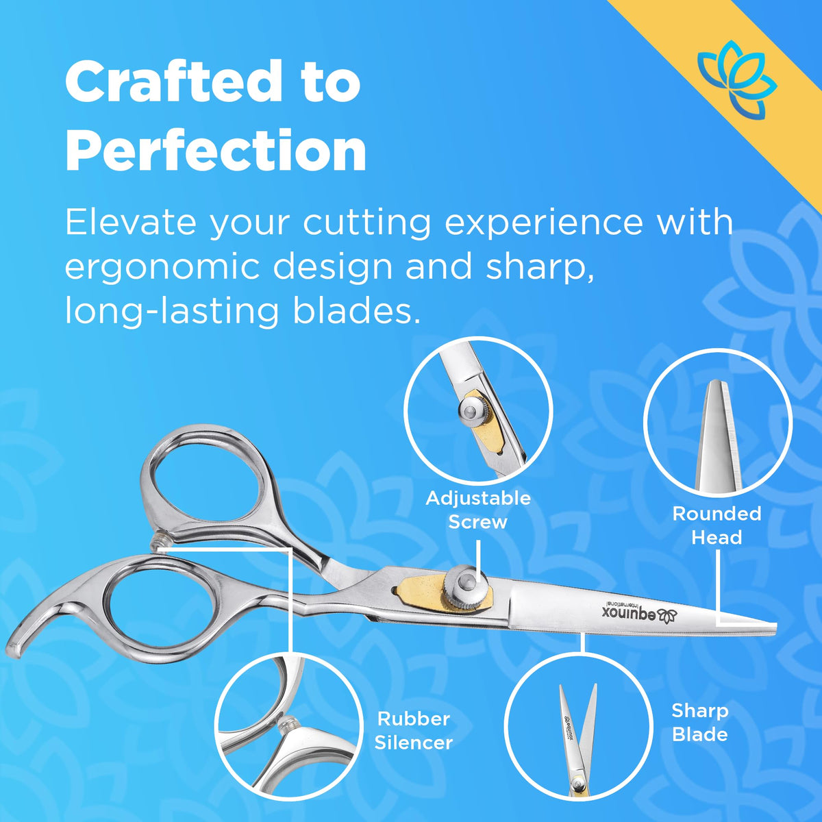 Equinox International Pro Barber Kit thinning shears for texture and layering
