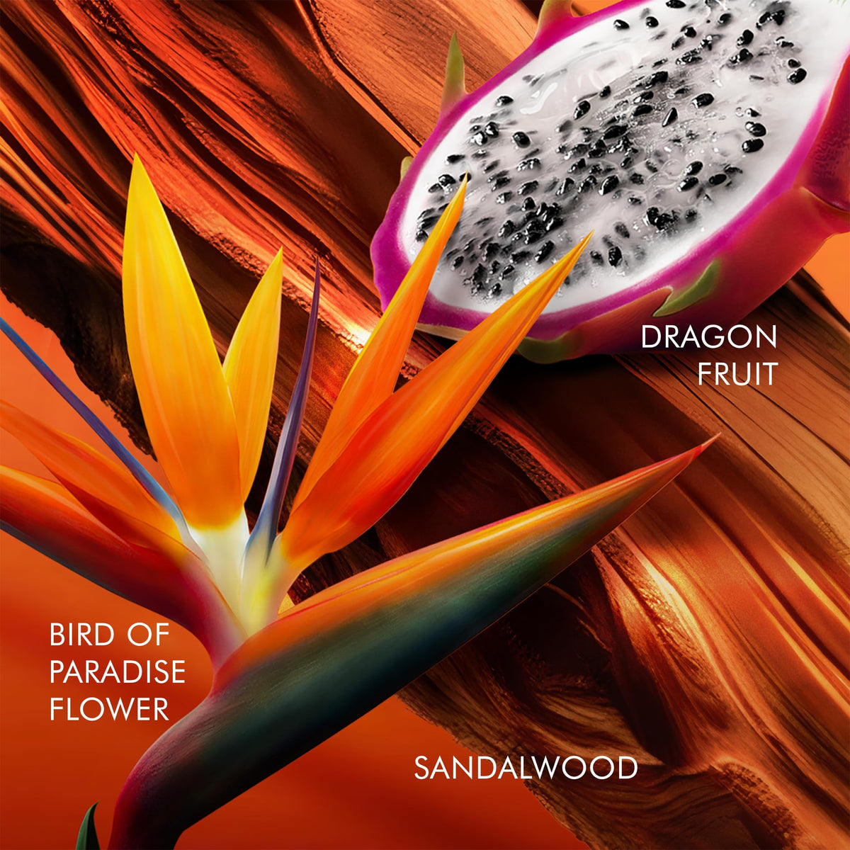 Escada Bali Paradise cap detail showcases luxurious design and color.