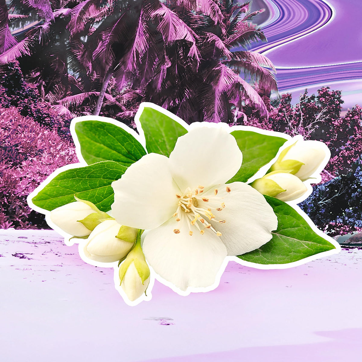 Escada Pacific Paradise tropical scene image evokes sun-kissed seaside charm and warmth
