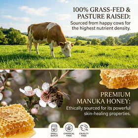 Essencetics grass-fed tallow ingredients highlighted for purity