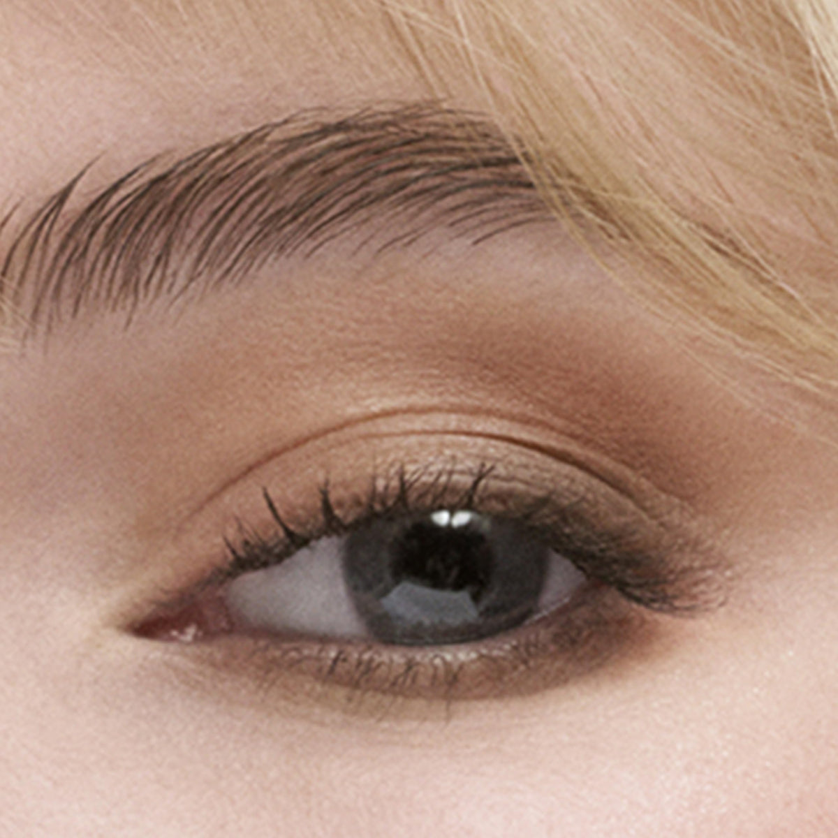 Estée Lauder Essential Eyeshadow Quad swatches show rich finishes and depth for versatile looks.