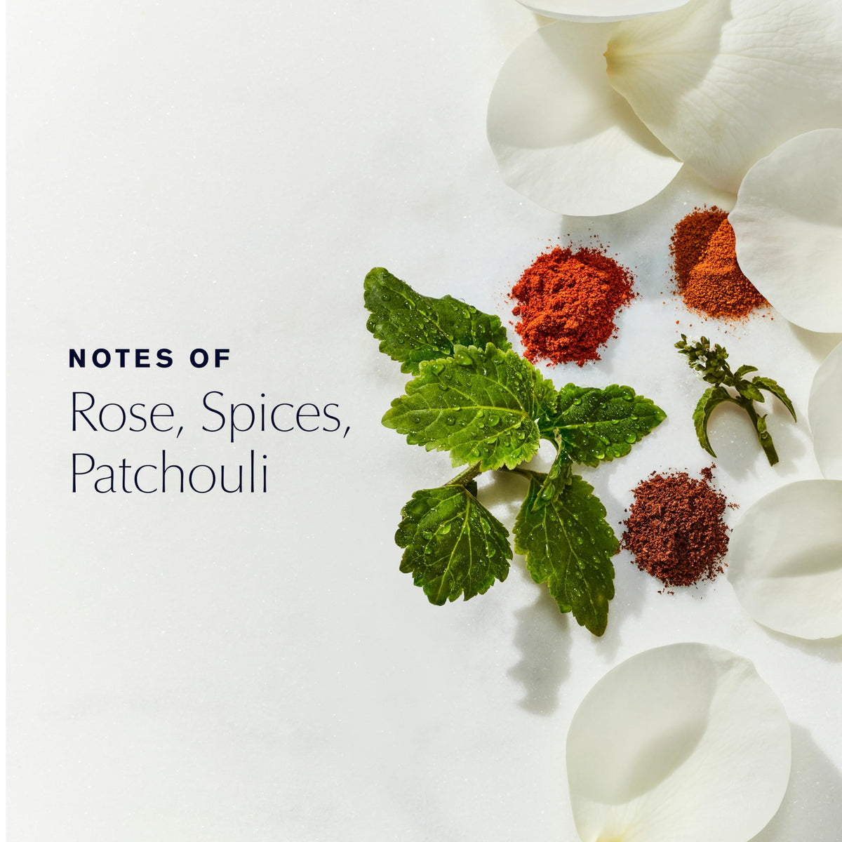 Estée Lauder Youth-Dew bottle close-up highlighting rose note for a sensual aura