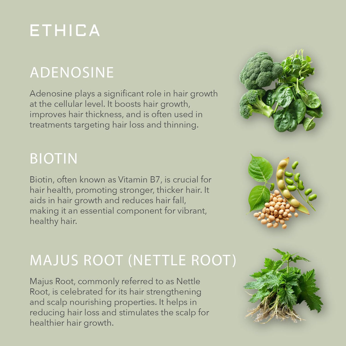 Ethica Beauty Corrective frontal hairline application improves texture and shine.