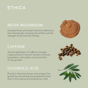 Ethica Beauty color-protection visuals imply lasting vibrancy.