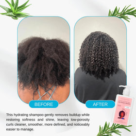 Ethnic Gals shampoo ingredients panel shows aloe vera and argan oil for moisture.