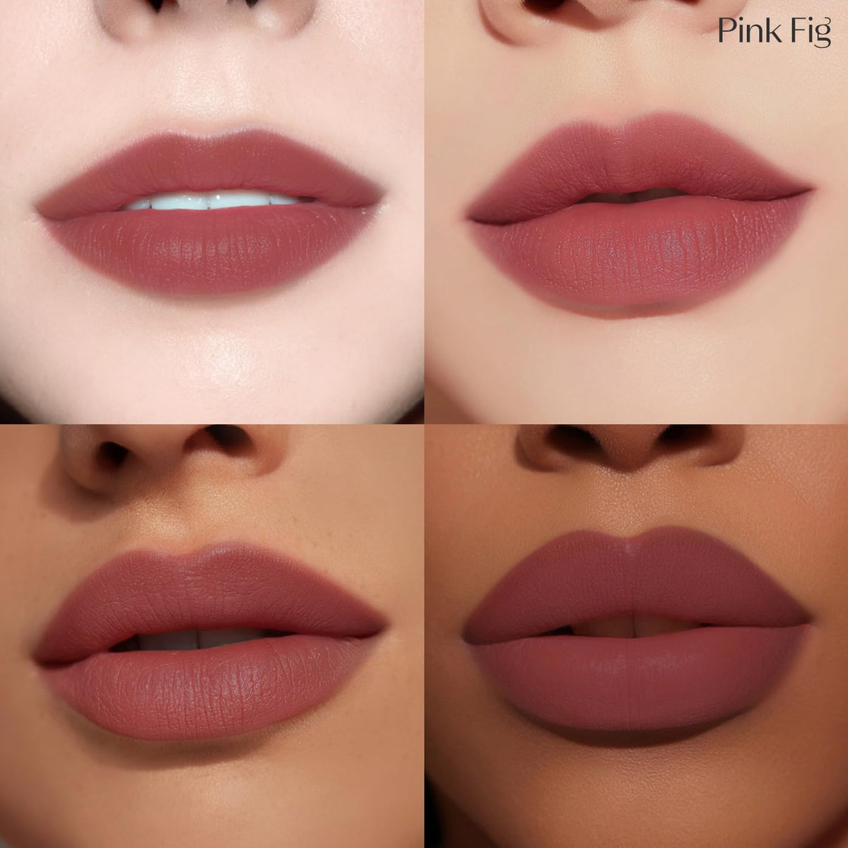 ETUDE Fixing Tint Pink Fig swatches demonstrate rich pigment.