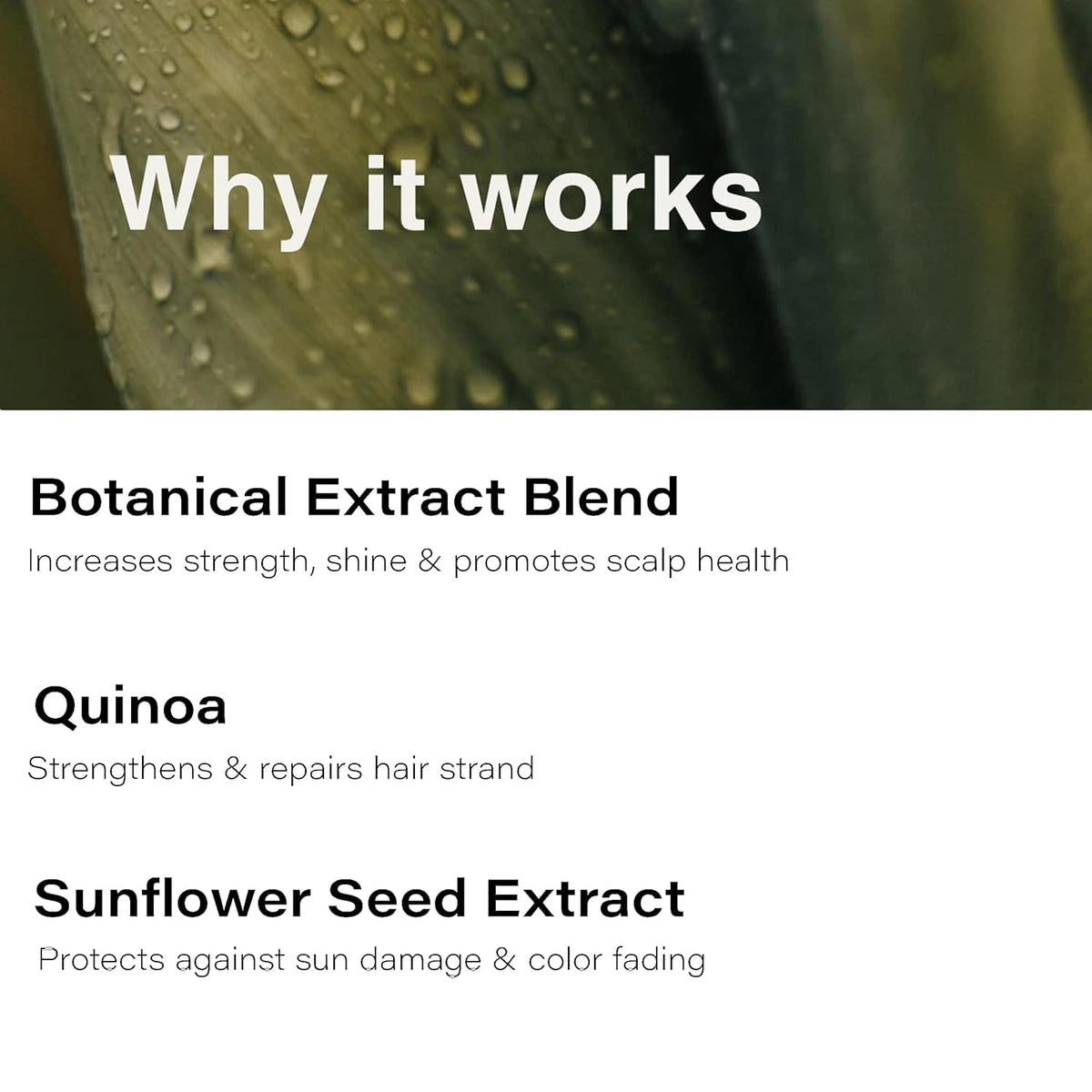 Eufora Hydration Leave-In protects against heat and sun damage.