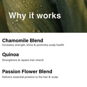 Bathroom shelf displays Eufora Moisture Solution Nourishing Conditioner.