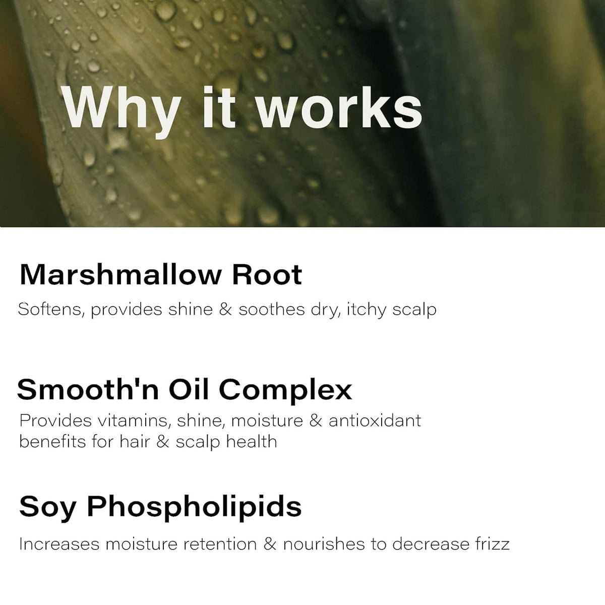 Eufora Smoothing Frizz Control Shampoo close-up texture suggests hydrating formula.