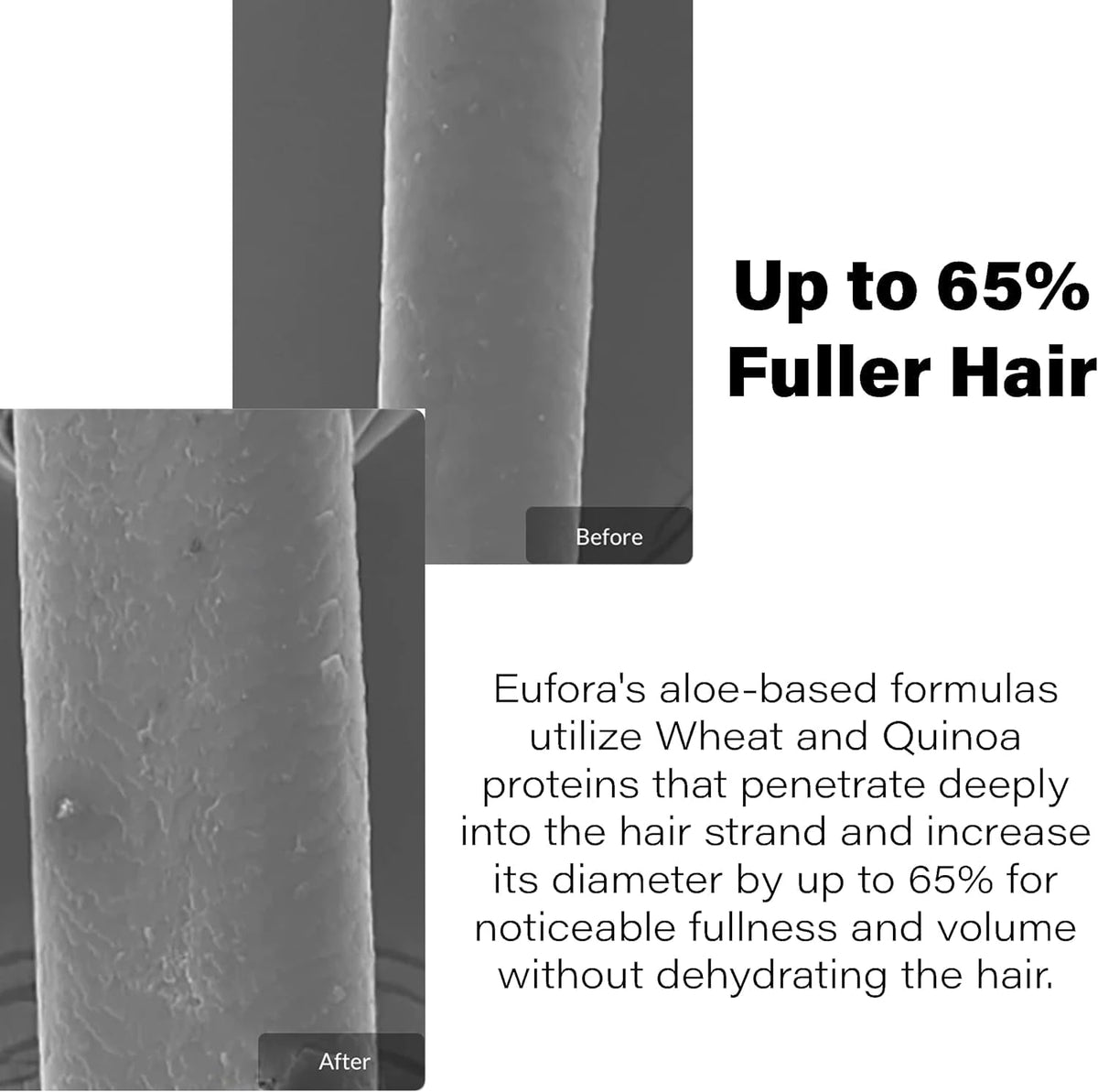 Eufora Volumizing Shampoo root-boost action visible on strands.