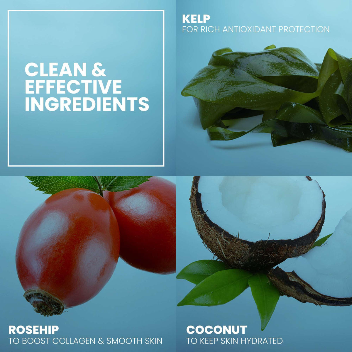 Eva Naturals aloe and kelp extract natural ingredients showcased on packaging