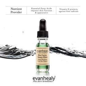 Blue tansy notes visible in bloom, providing cooling relief for the skin.