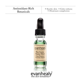 Close-up of prickly pear and blue tansy highlights nourishing desert botanicals.