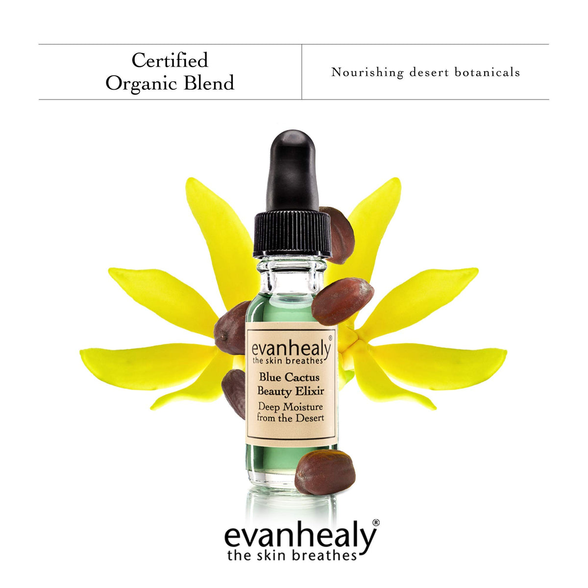 Evanhealy prickly pear oil droplets suggest antioxidant nourishment for dry skin.