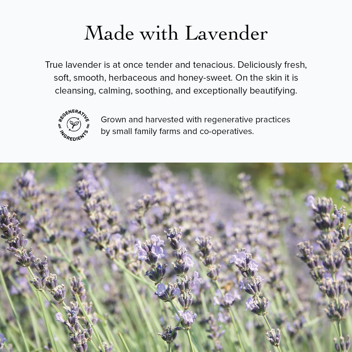 evanhealy blue lavender cleansing milk bottle with herbs evokes spa calm.
