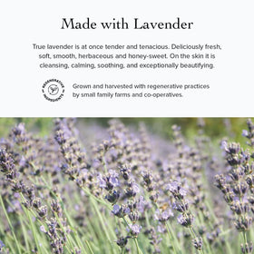 evanhealy blue lavender cleansing milk bottle with herbs evokes spa calm.