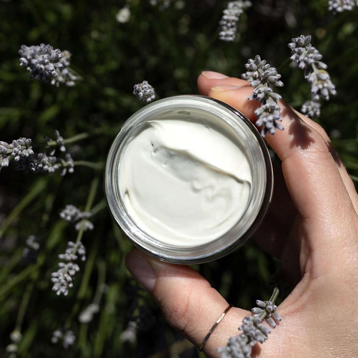 evanhealy Carrot Seed Oil infusion bottle highlights gentle care for irritated skin.