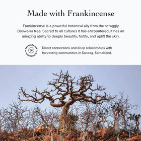 Evanhealy HydroSoul distillation process image conveys purity and sustainable sourcing