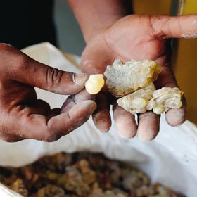 Evanhealy HydroSoul wild-harvest boswellia reflects ethical harvesting practices