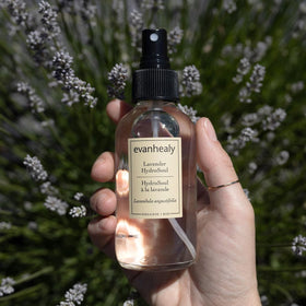 Evanhealy Lavender HydroSoul copper still demonstrates artisanal distillation