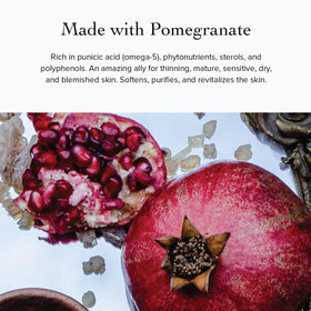 evanhealy Pomegranate Vitality Serum ingredients close-up highlights essential fatty acids