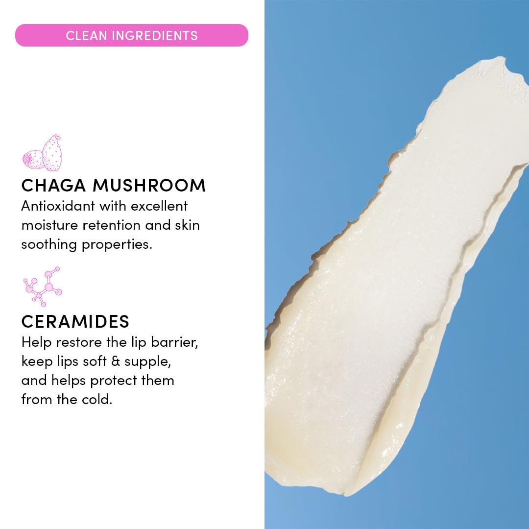 Evereden chaga mushroom ceramides formula ingredient shot highlights clean vegan