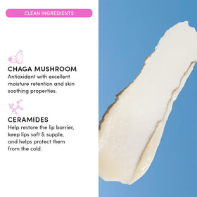 Evereden chaga mushroom ceramides formula ingredient shot highlights clean vegan