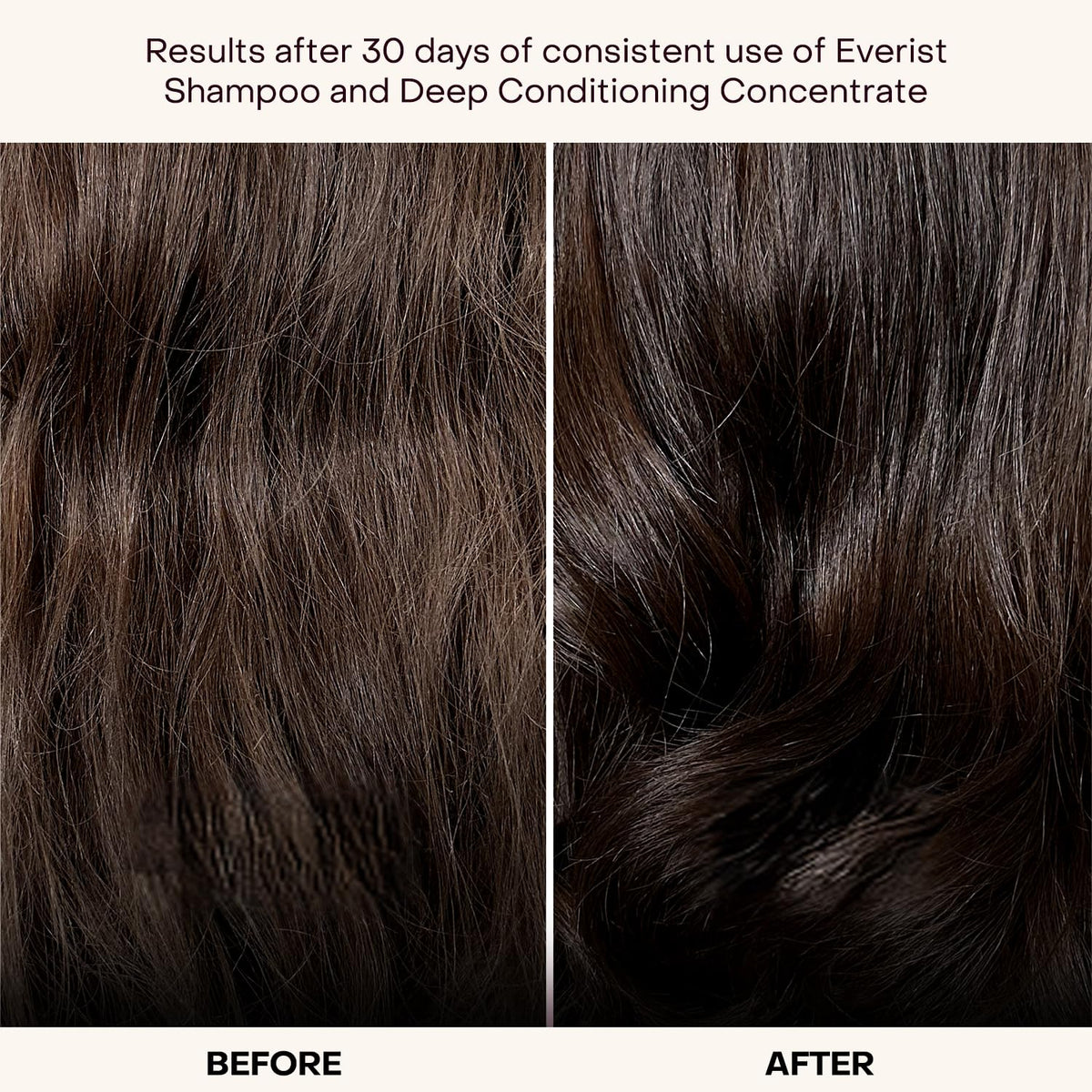 Everist Deep Conditioning Concentrate packaging—aluminum tube for travel-friendly hydration on the go.