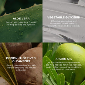 Everist fragrance-free shampoo concentrate aloe vera detail signals gentle hydration.