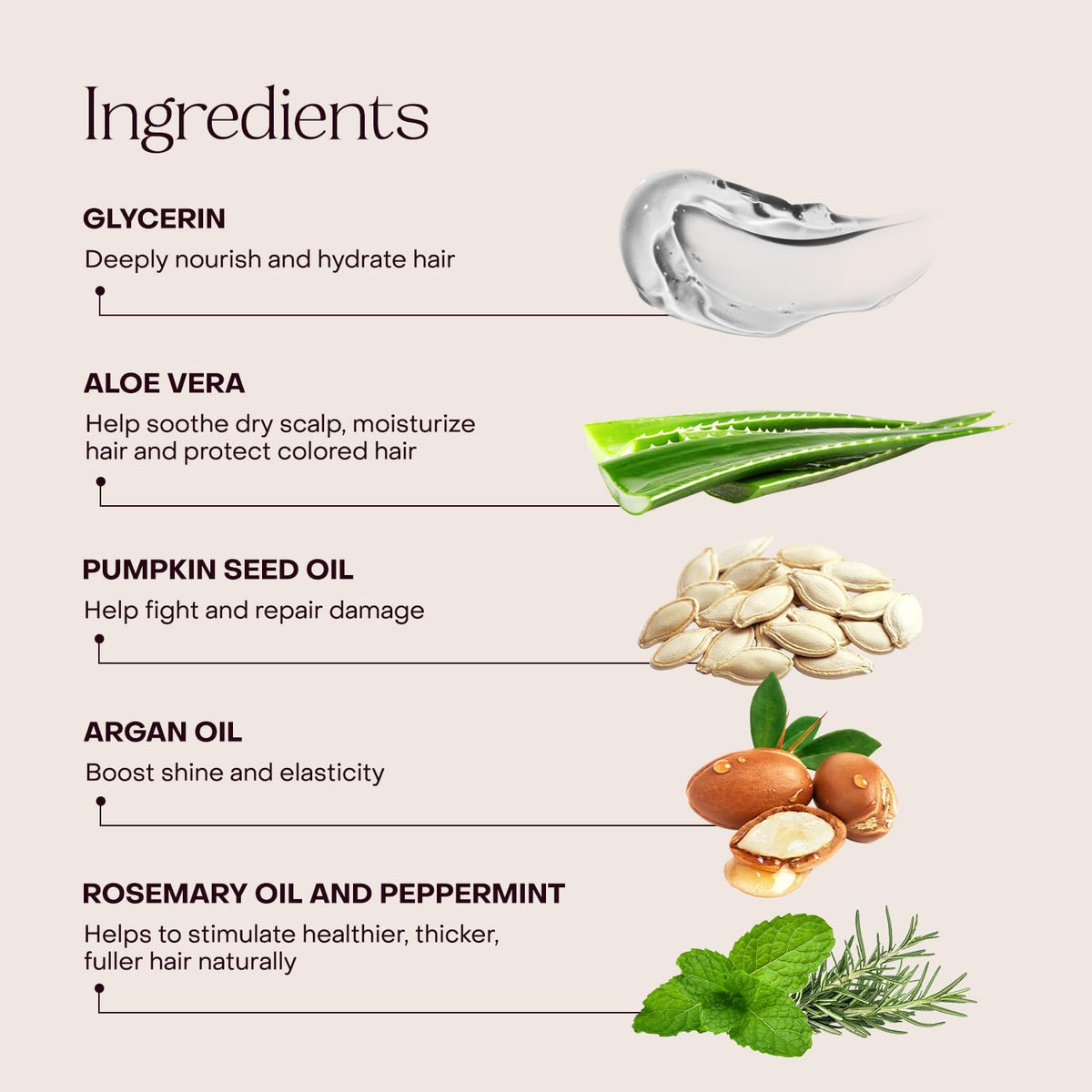 Everist glycerin and aloe visuals emphasize hydration and scalp soothing properties.