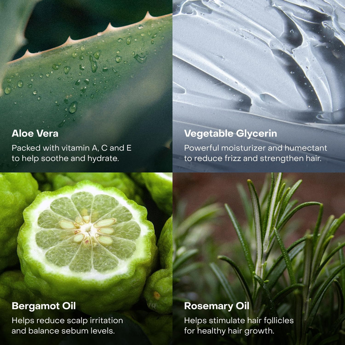 Everist plant-based formulation label close-up emphasizes clean dye-free ingredients.