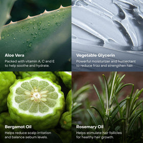 Everist plant-based formulation label close-up emphasizes clean dye-free ingredients.
