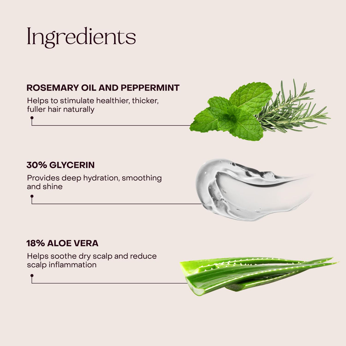 Everist Shampoo Concentrate ingredients highlight—glycerin and aloe for deep hydration.