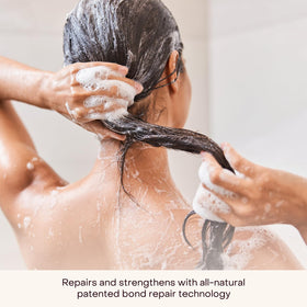 Everist Shampoo Concentrate label close-up—bond repair technology for stronger-looking hair.