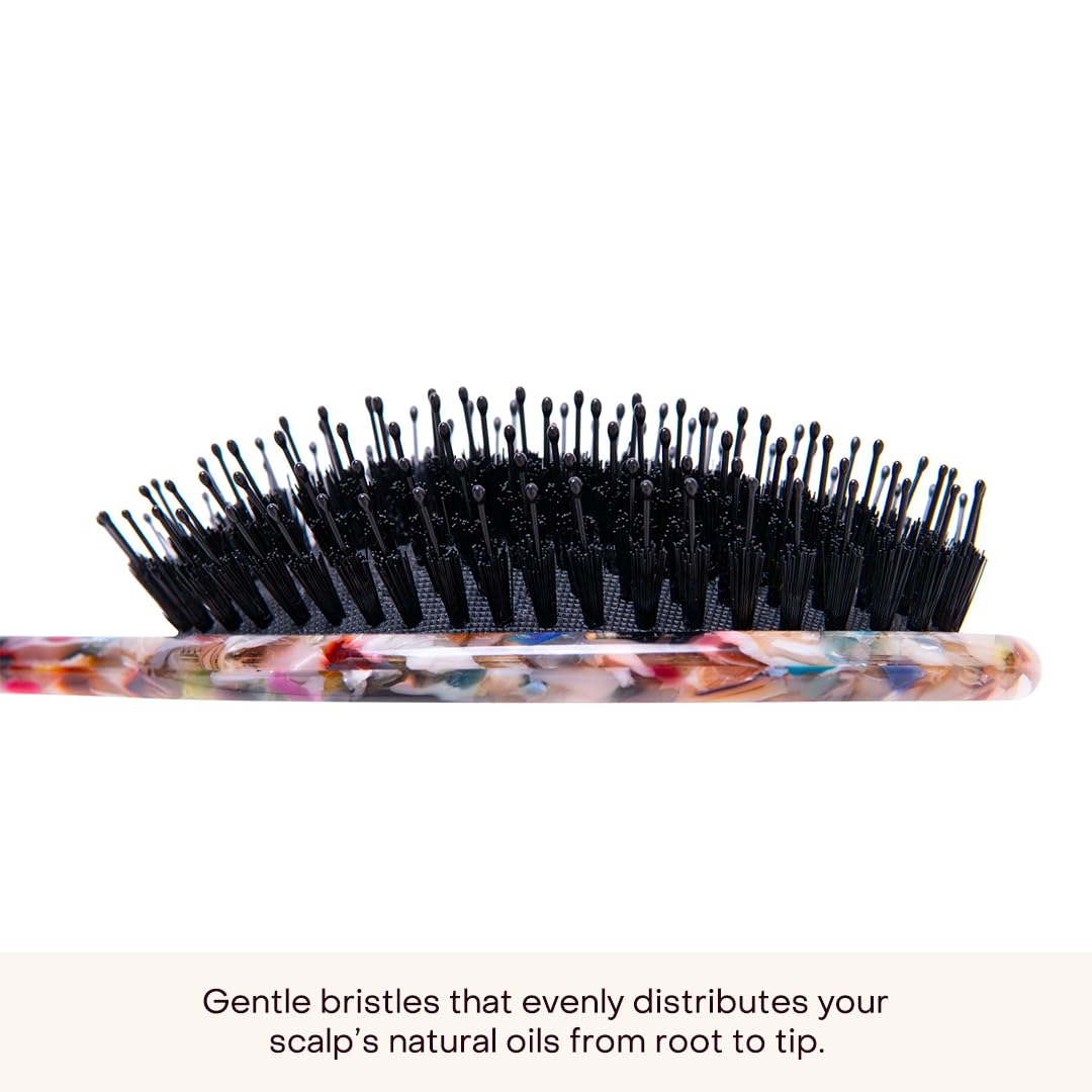 Everist Smooth and Shine brush wet-dry-use demonstrating versatility for styling wet or dry hair.