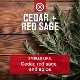 Every Man Jack Cedar & Red Sage aluminum-free deodorant stick for all-day fragrance